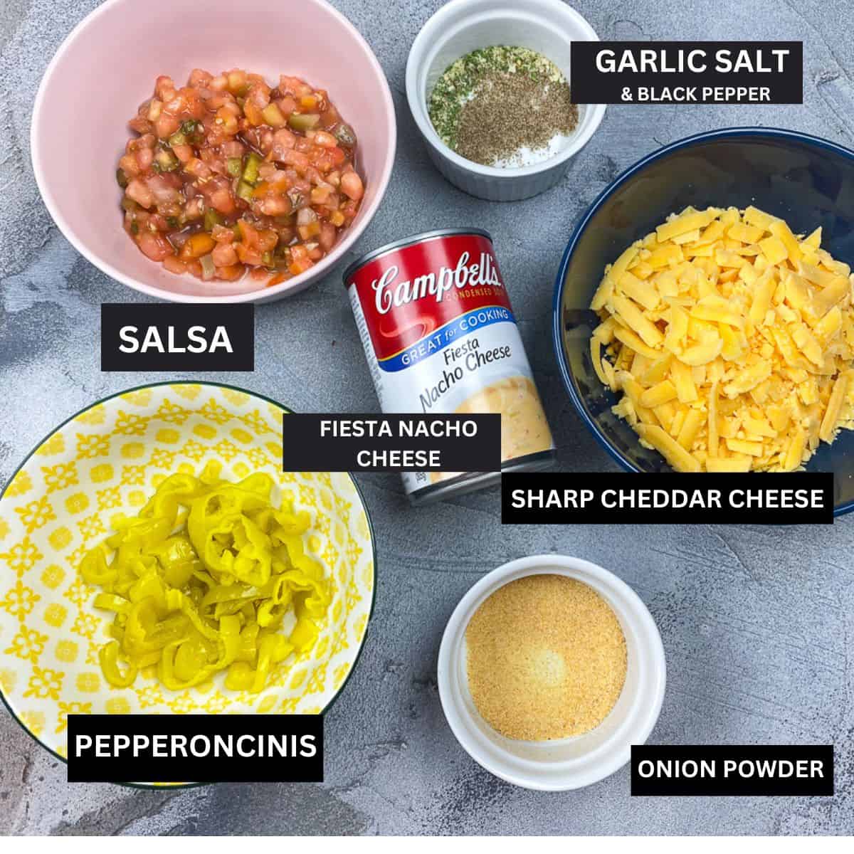 ingredients for Salsa con queso onion powder pepperoncinis sharp cheddar cheese fiesta nacho cheese black pepper garlic salt salsa 