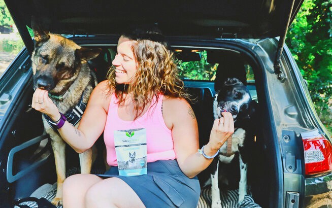 Traveling with dogs, anxiety, travel, separation anxiety, German Shepherd, Border Collie, dogs, traveling with anxious dogs, Sacramento blogger, VetriScience, dog treats, anti-anxiety, Jeep, dog harness, grief