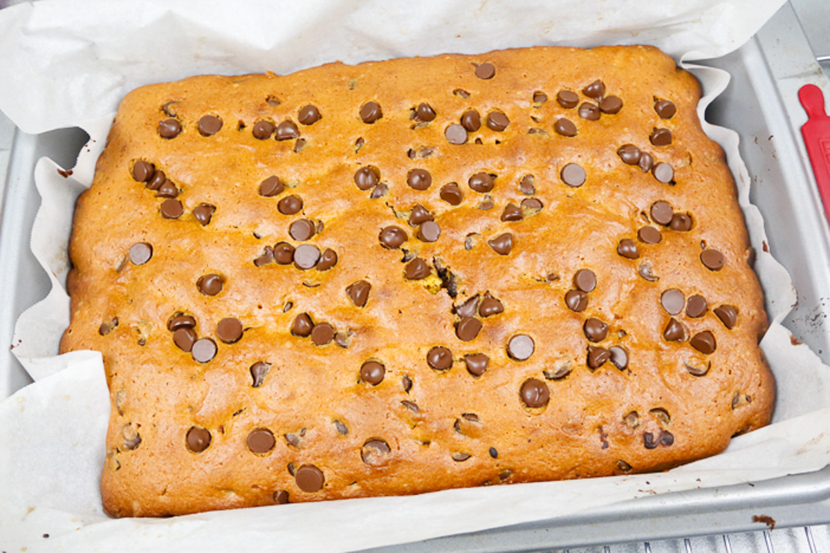 a tray of pumpkin brownies healthy topped with chocolate chips 