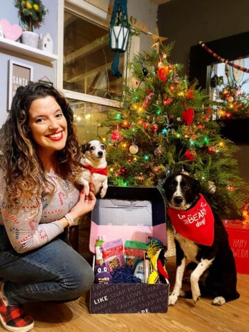girl and dogs with Babbleboxx pawfect gift guide campaign in front of Christmas tree