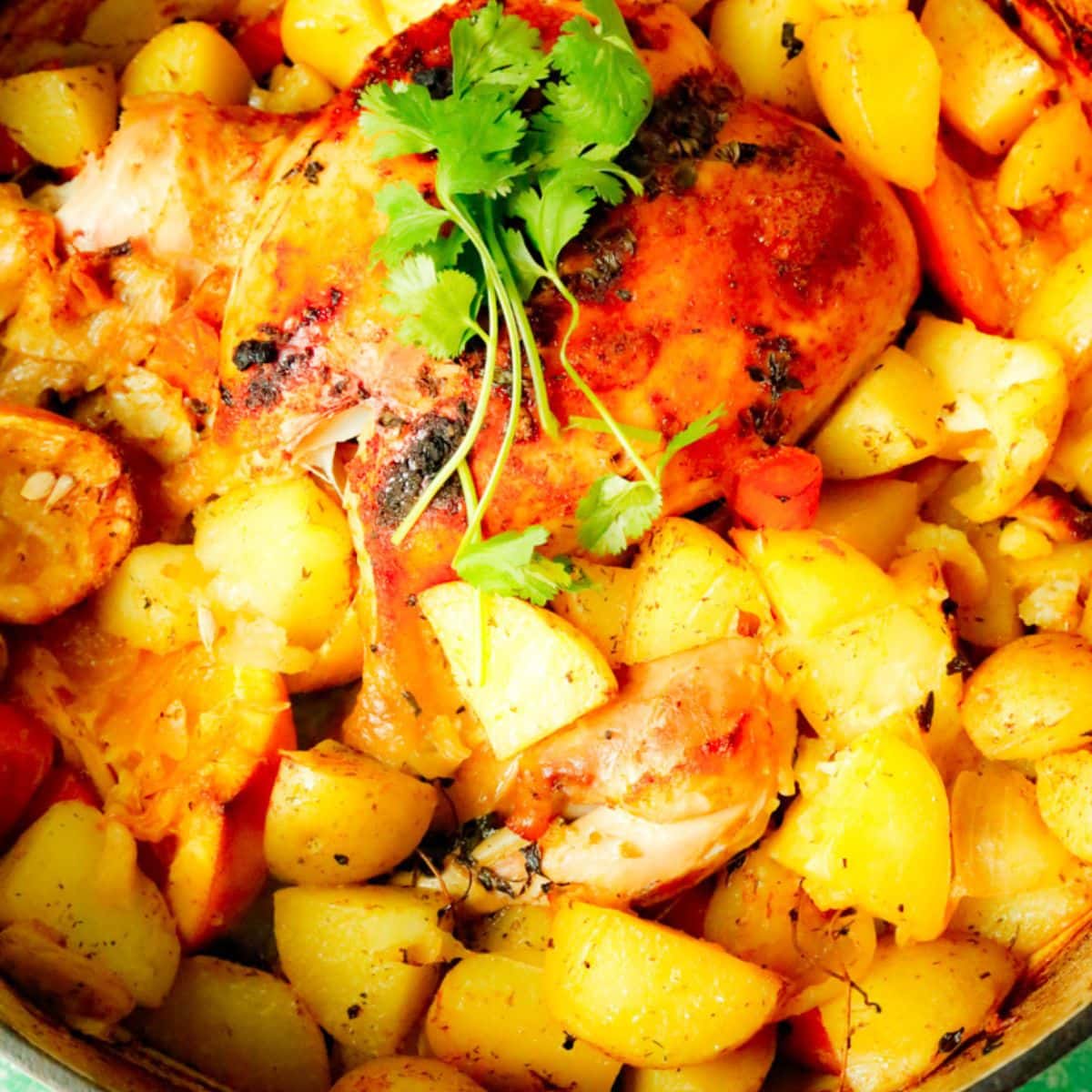 Easy Chicken and Potatoes in Dutch Oven with Vegetables  - Fitty Foodlicious