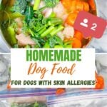Pinterest image for homemade dog food for dogs with skin allergies