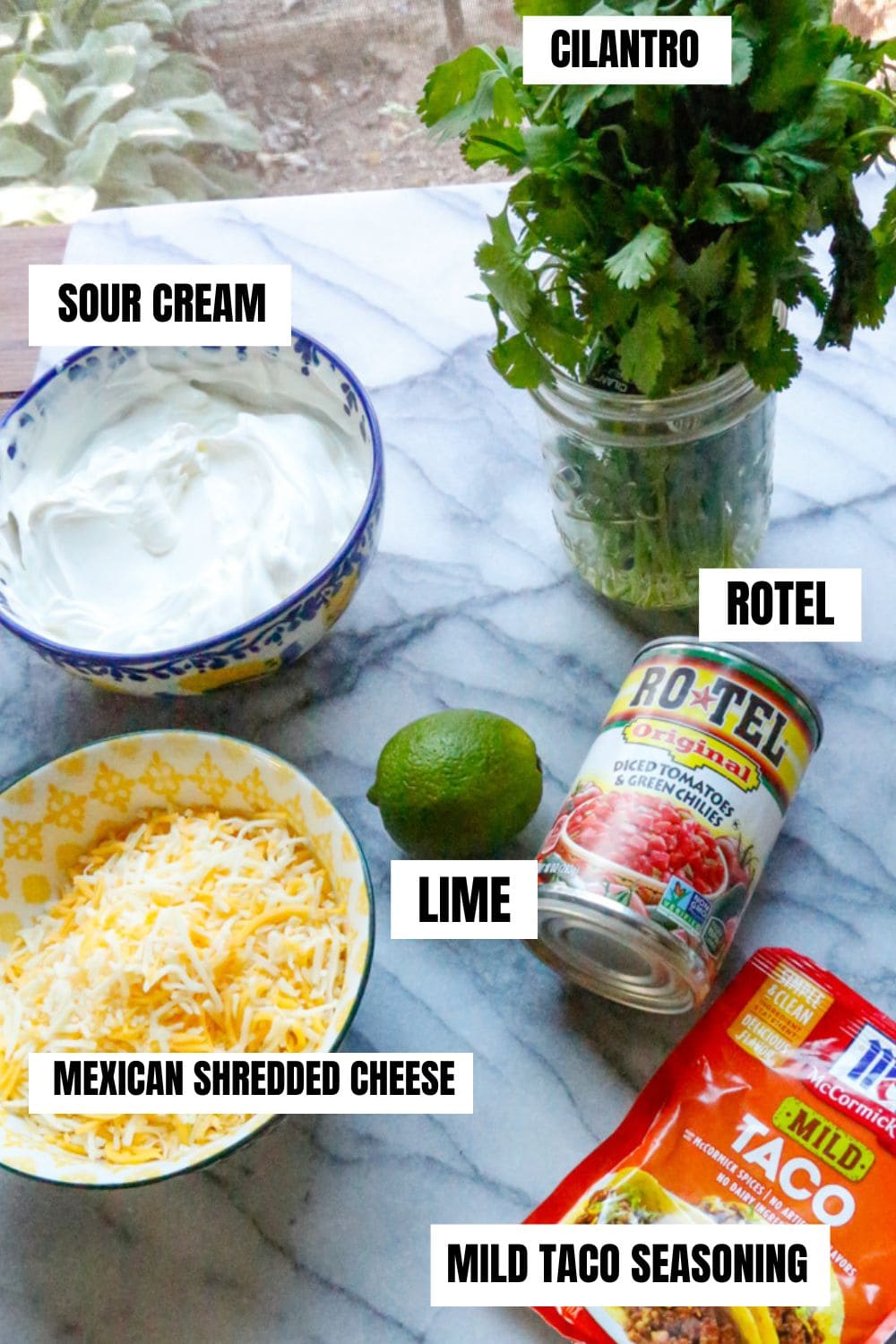 Ingredients for Rotel boat dip recipe includes sour cream, fresh cilantro, Rotel, fresh lime juice, taco seasoning, Mexican shredded cheese, and tortilla chips 