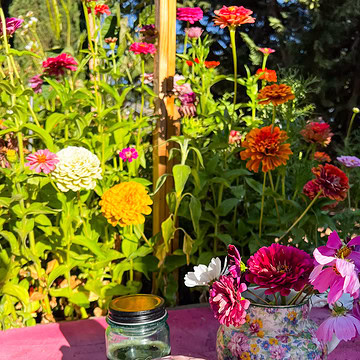 a glass filled with cold brew coffee and raspberry cream cold foam with fresh raspberrie on top and fresh flowers like Zinnia's and Cosmos