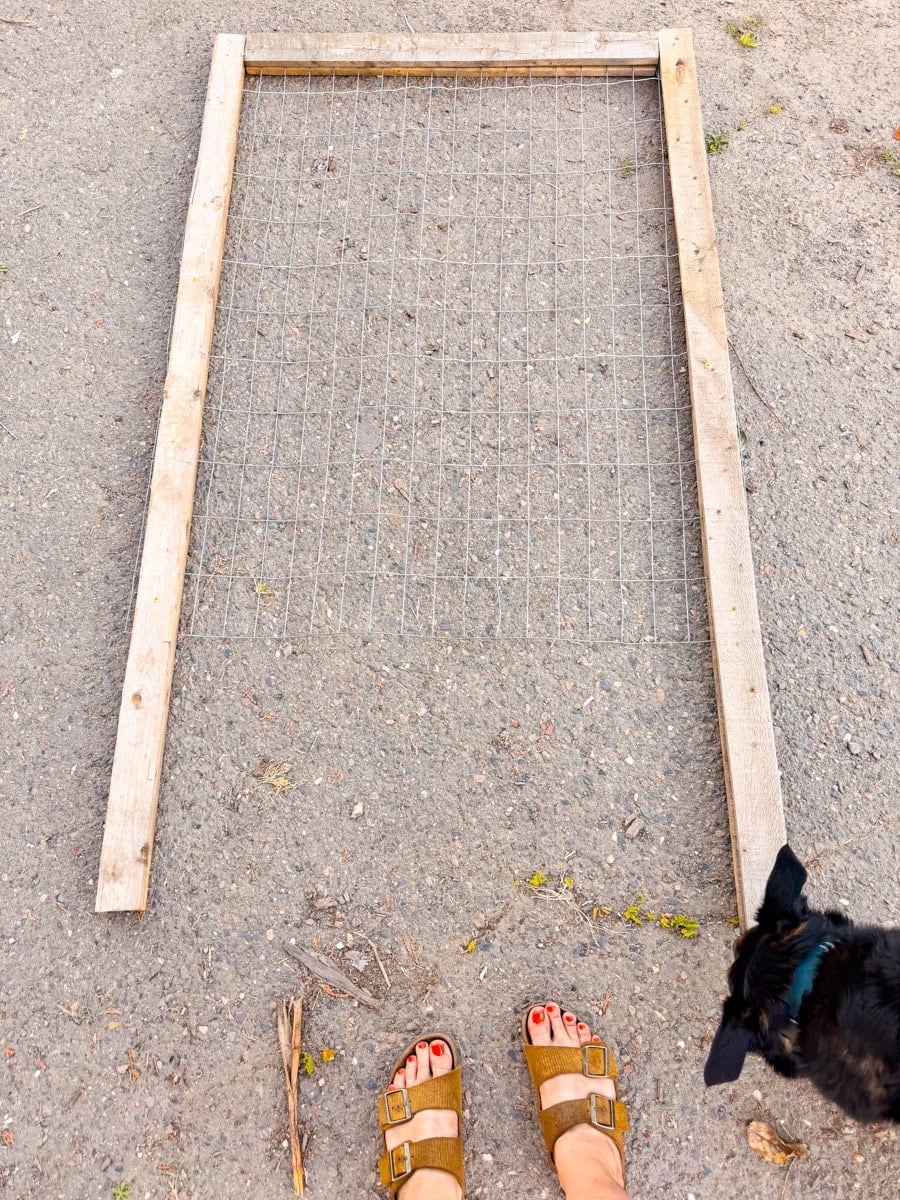 
measured and cut wood pieces prepared for DIY wooden trellis build