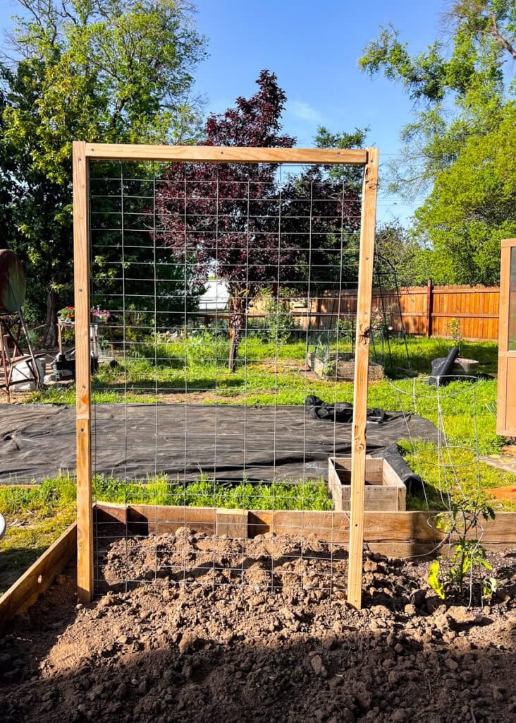 easy wooden DIY garden trellis in vegetable bed 
