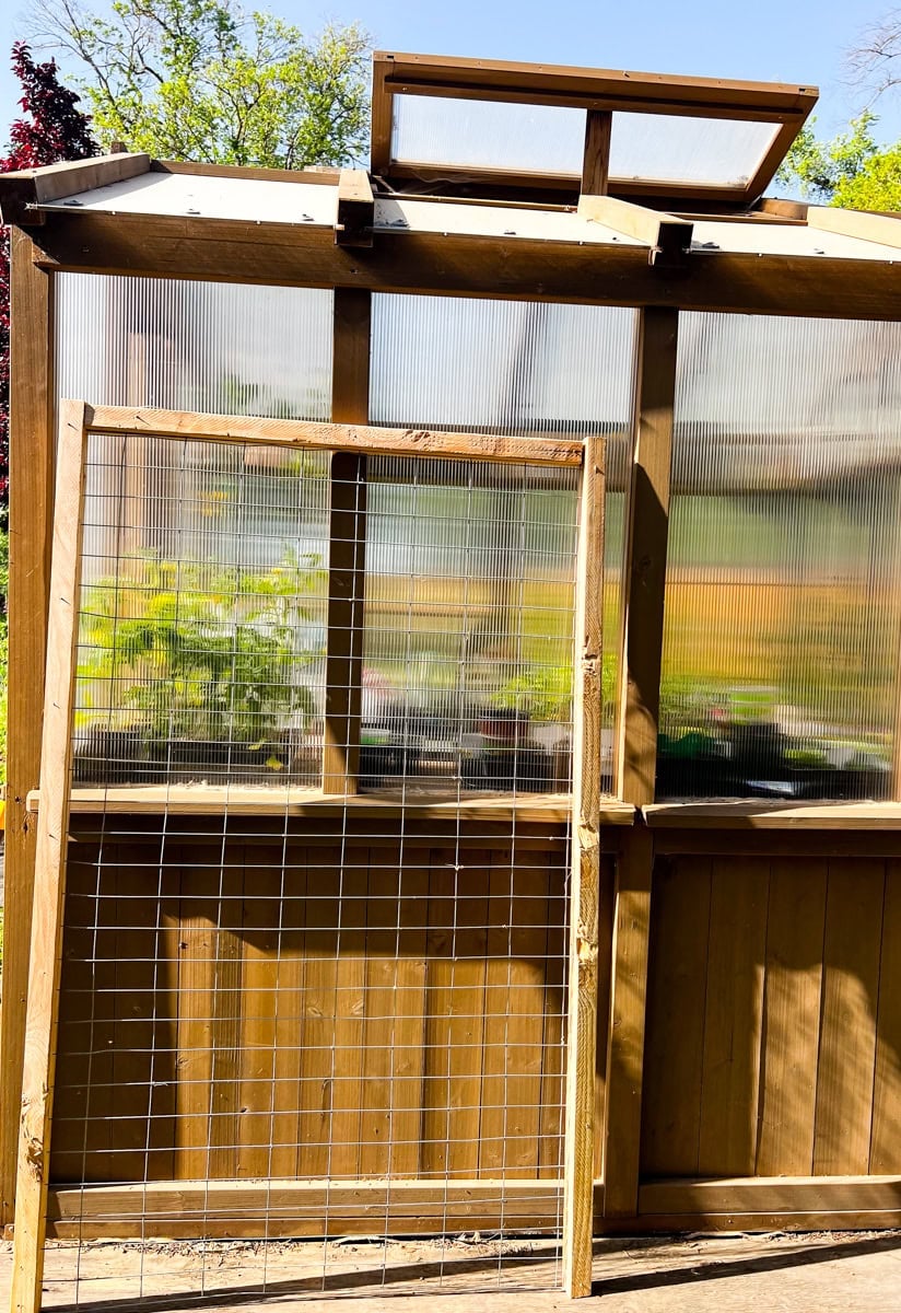 wooden garden trellis leaning against greenhouse showing completed DIY frame with hog wire