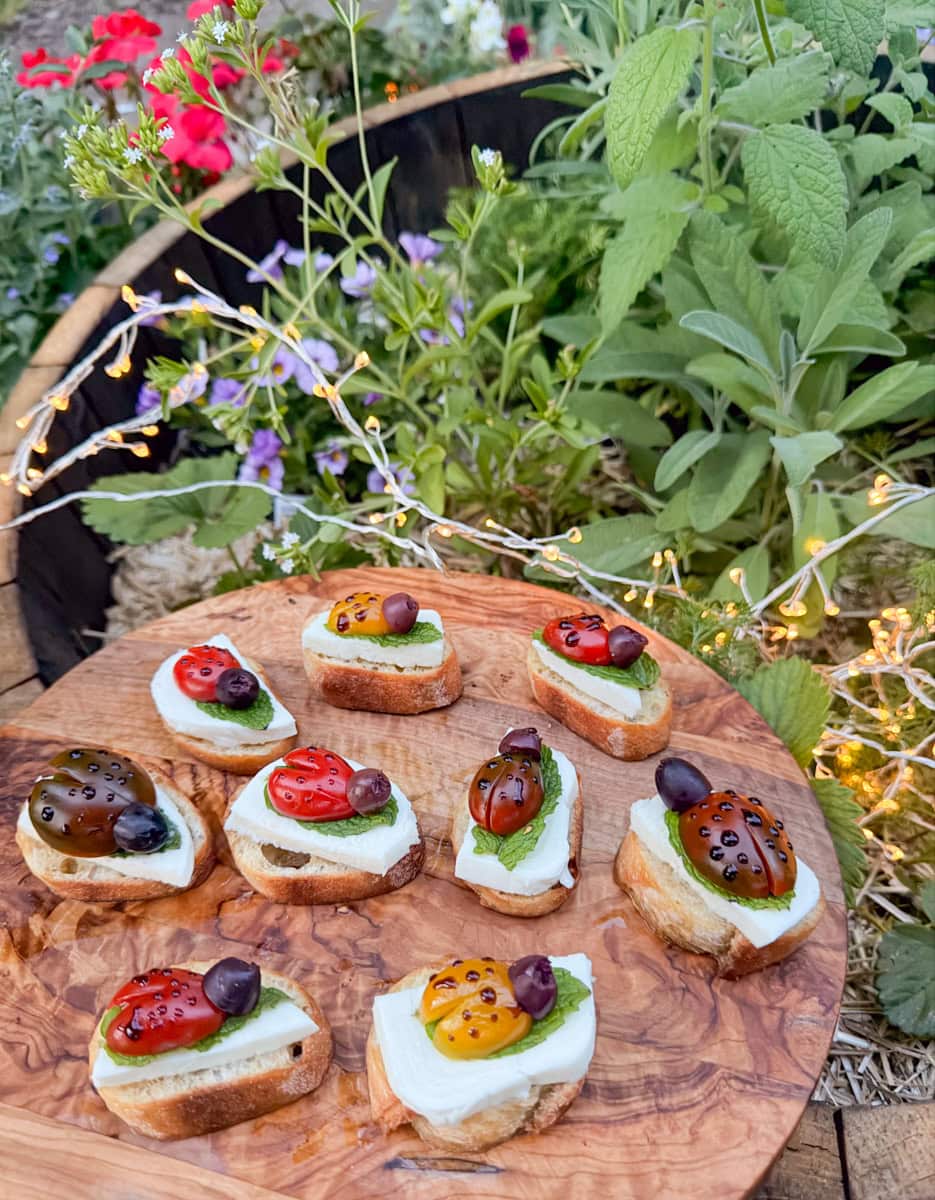 ladybug crostini caprese appetizer with cherry tomatoes mozzarella basil leaves and olive details on toasted bread