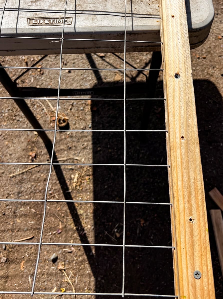 close-up of wooden garden trellis frame with screws securing hog wire to 1x3 wood