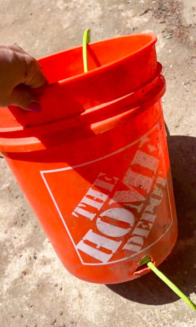 Completed DIY outdoor hose storage bucket made from an orange utility bucket with a garden hose threaded through the side for easy backyard organization.