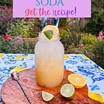 Homemade lemon lime soda served in a mason jar over ice with fresh lemon and lime slices, photographed outdoors in a colorful cottage garden setting with fresh citrus and sparkling summer drink ingredients.