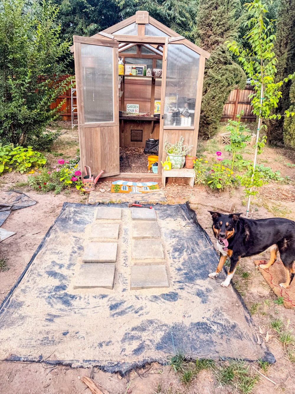 Stepping stone pavers installed on leveling sand over weed barrier fabric while building a DIY garden path to a backyard greenhouse.