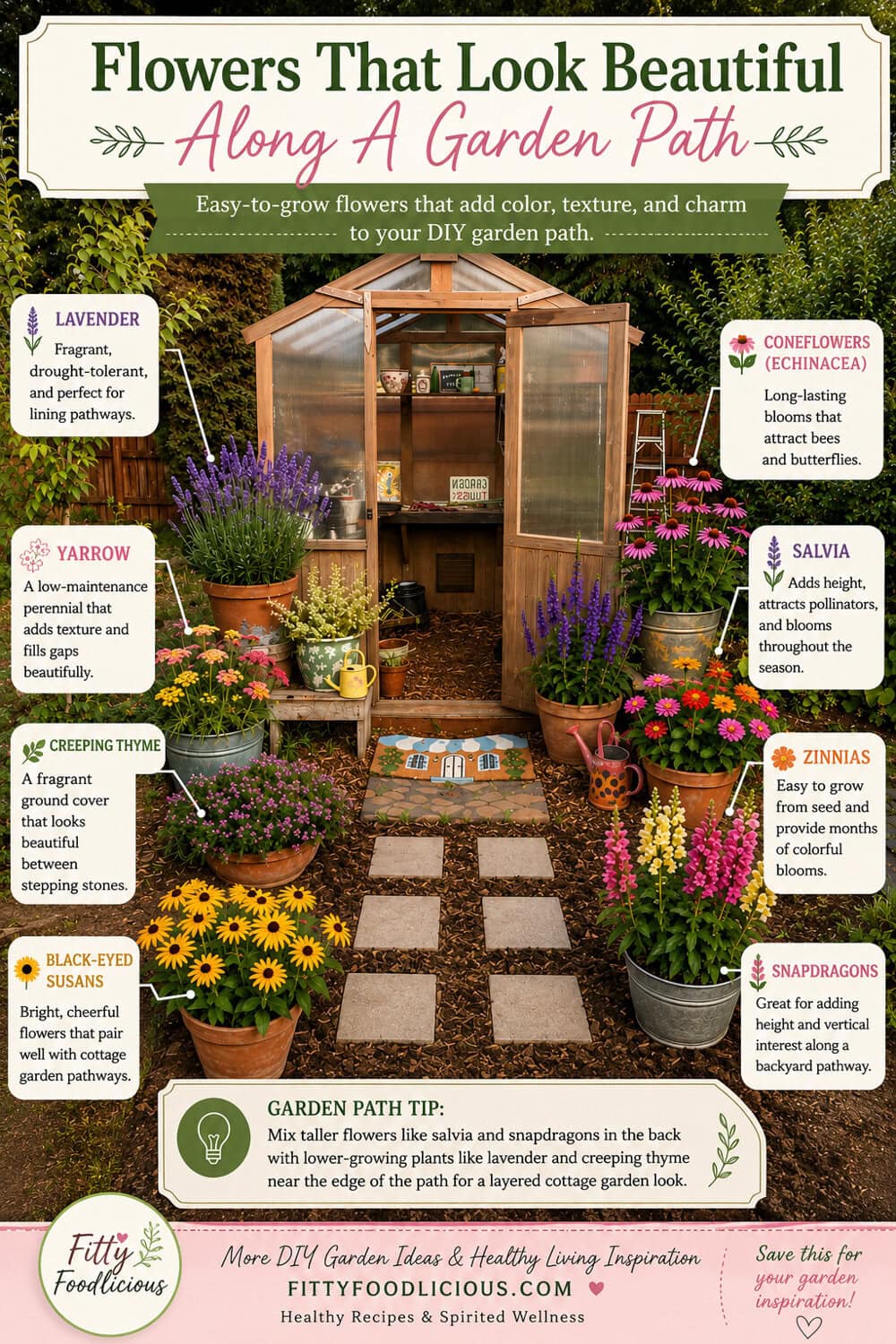 Infographic showing flowers that look beautiful along a garden path, including lavender, coneflowers, salvia, zinnias, yarrow, creeping thyme, black-eyed Susans, and snapdragons around a greenhouse stepping stone pathway.