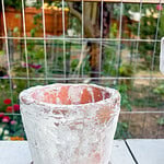 Finished aged terracotta pot with a faux white patina sitting on a matching saucer outdoors after the aging technique has dried.