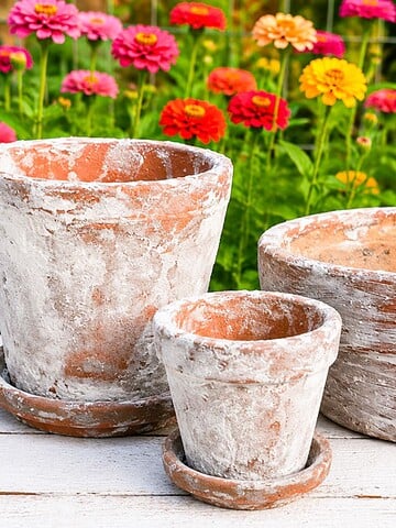 how to age terracotta pots