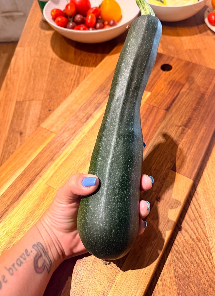 Fresh homegrown zucchini harvested from the garden and held by hand before slicing for homemade ratatouille.