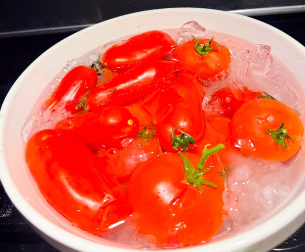 Blanched tomatoes sitting in an ice bath for Passata