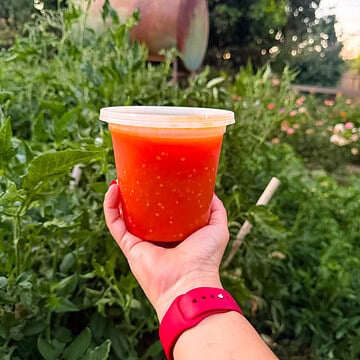 Container of homemade tomato passata held up in front of the Garden