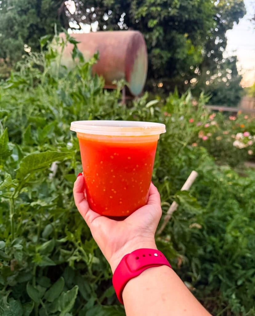 Container of homemade tomato passata held up in front of the Garden